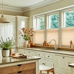 white kicthen pleated blinds