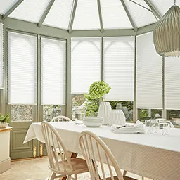 conservatory pleated blinds